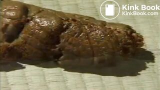 Cute Asian Babe Worships her poop