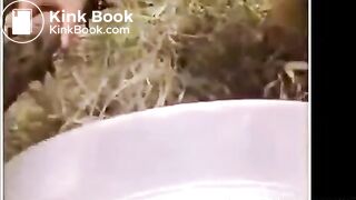 Asian Sluts Eating Animal Shit