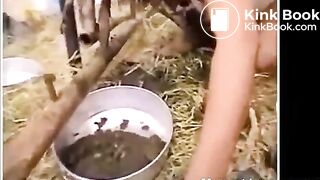 Asian Sluts Eating Animal Shit