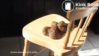 Shitting On A Chair