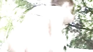 pee shit Jessika Westen Beim Kacken German Girl Shitting In Publicmpg