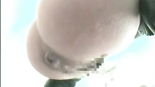 Hidden Japanese Potty Cams