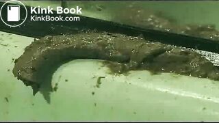 BBW BROWN BATH WATER 2