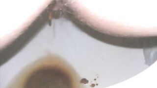 amateur scat compilation