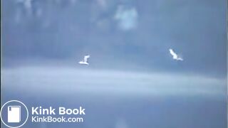 Three girls shitting