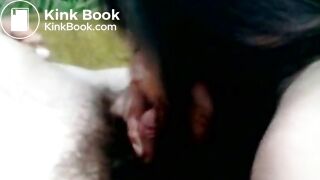 the fantastic world 2