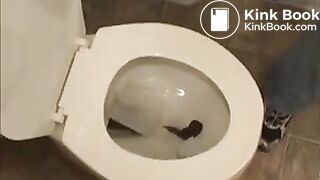 AmazingGirlsPooping (8)