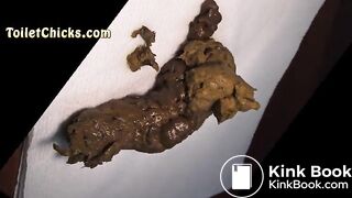 Toilet Chicks Big Turds Promo
