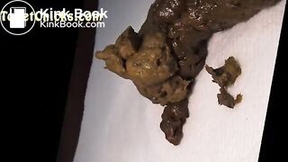 Toilet Chicks Big Turds Promo