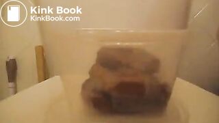 Petesue and her poop contest