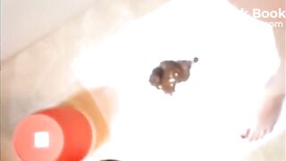 Girl Pooping & Masturbating