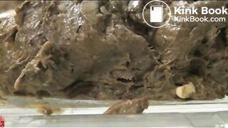 Asian Woman - Dream Turd 2