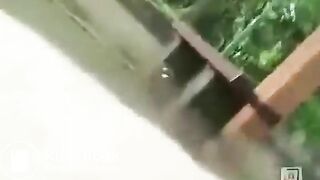 素人投稿　野外排泄　6-2 - Scat