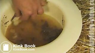 toilet_slut_training