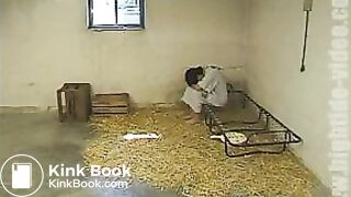 toilet_slut_training