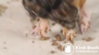 scat, spit, humiliation