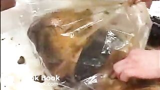Scat