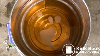 Japanese Scat And Pee Farmmp4