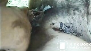 scat slut
