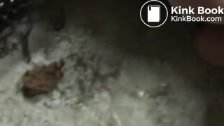 Rolling in her filth