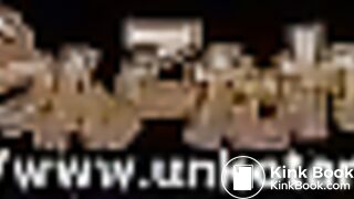 Webcam in a japaneas toiletflv