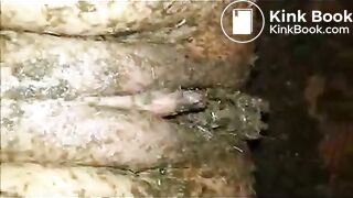 special shit eating and pussy stuffing!!