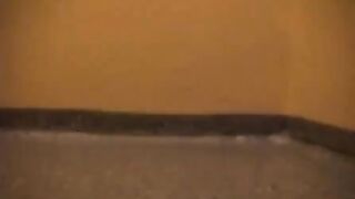 Amateur babe shits on the floor in the public toil - Scat Video Collection