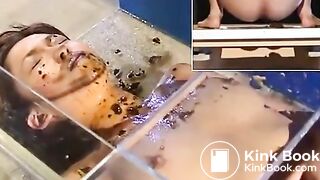 美女の顔にウンコを連続ぶっかけ - Scat