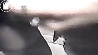 Scat - USA - A pretty black girl in