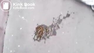 Drunk white chick shits herself