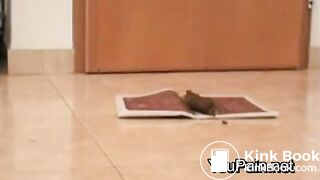 Pervert Girl Shitting on Magazine