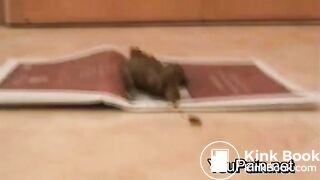 Pervert Girl Shitting on Magazine
