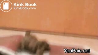 Pervert Girl Shitting on Magazine