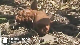 Pretty amateur ass is ready to produce some turds - Scat Video Collection