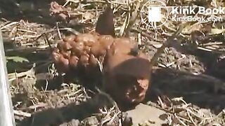 Pretty amateur ass is ready to produce some turds - Scat Video Collection