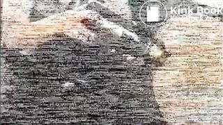 lesbian mature scat vintage