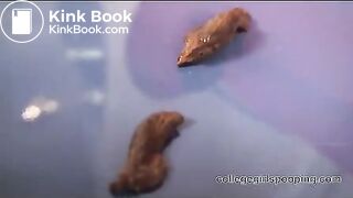 Sexy college girl Barbie shitting in front of cam - Scat Video Collection