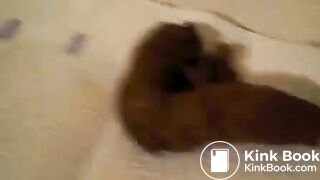 upskirtshitflv