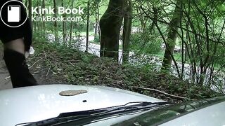 Pissing and diarrhea on the car hood