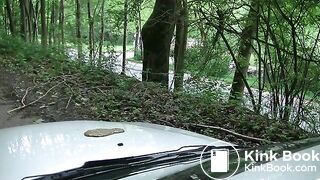 Pissing and diarrhea on the car hood