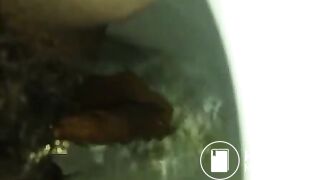 pooping compilation Dec 2013