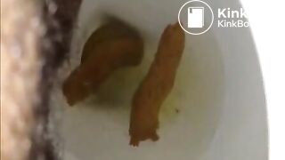 pooping compilation Dec 2013