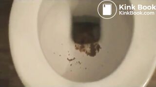 Crush Goddess Beatrice Does Scat