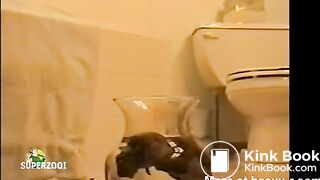 Amateur Milf Shits Huge Turd