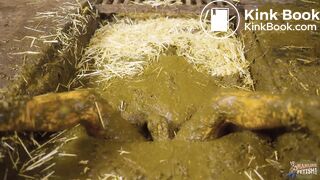 Brooke Maddison discovering the joi of cowshit