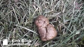 Dropping a fat poop out of a car window