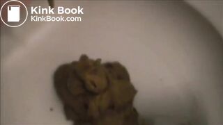 Fast shit in the toilet closeup