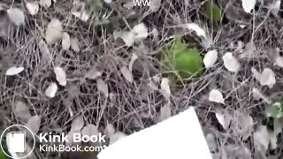 Dropping two big turds in the woods