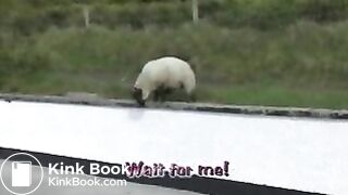 Kaz enema and bathtub expulsion