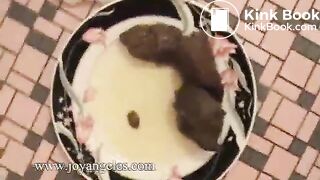 Mila Perlman  poops by side of bath